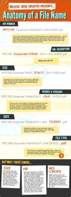 What is Website Title: A Journey Through the Digital Naming Conundrum