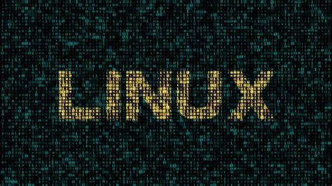 What is Linux Programming: A Journey Through Code and Chaos